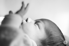 JohannesBeschoner-newborn-6