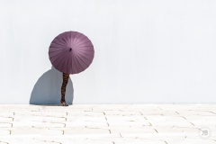 Aus der Serie Umbrella